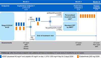 Phase II INTERACT-ION study: ezabenlimab (BI 754091) and mDCF (docetaxel, cisplatin, and 5-fluorouracil) followed by chemoradiotherapy in patients with Stage III squamous cell anal carcinoma